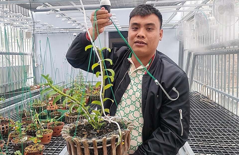 Đại gia lan đột biến khét tiếng buôn than lậu Trốn thuế, dựng công nhân làm giám đốc