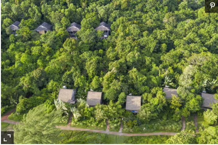 14 khách sạn trong rừng đẹp nhất thế giới Việt Nam lọt top 5