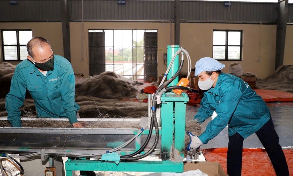 Hợp tác xã Miến Việt Cường Mô hình HTX điển hình thúc đẩy kinh tế từ sản phẩm truyền thống ở Thái Nguyên